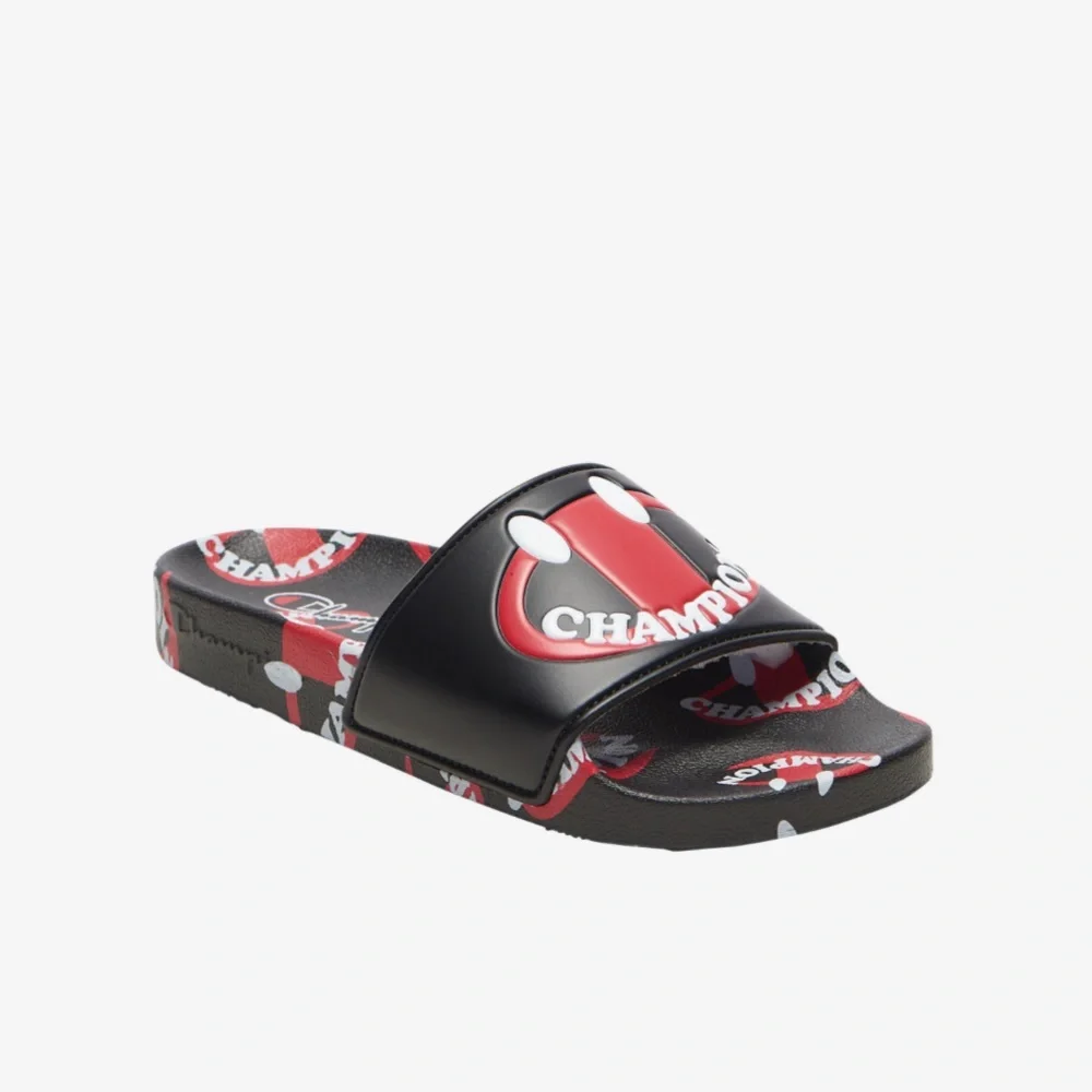 NIB Champion Slides